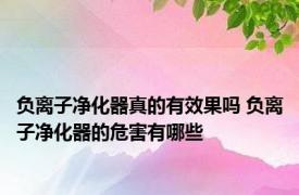 负离子净化器真的有效果吗 负离子净化器的危害有哪些
