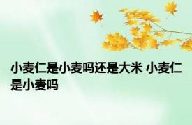 小麦仁是小麦吗还是大米 小麦仁是小麦吗