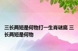 三长两短是何物打一生肖谜底 三长两短是何物