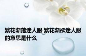 繁花渐落迷人眼 繁花渐欲迷人眼的意思是什么