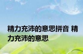 精力充沛的意思拼音 精力充沛的意思