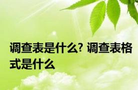 调查表是什么? 调查表格式是什么
