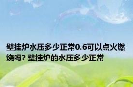 壁挂炉水压多少正常0.6可以点火燃烧吗? 壁挂炉的水压多少正常