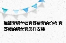 弹簧套钢丝锁套野猪套的价格 套野猪的钢丝套怎样安装
