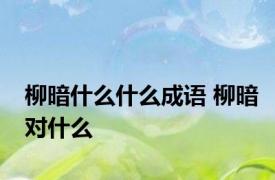 柳暗什么什么成语 柳暗对什么