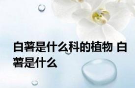 白薯是什么科的植物 白薯是什么 
