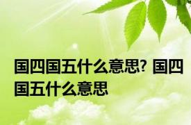 国四国五什么意思? 国四国五什么意思