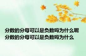 分数的分母可以是负数吗为什么呢 分数的分母可以是负数吗为什么