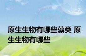 原生生物有哪些藻类 原生生物有哪些