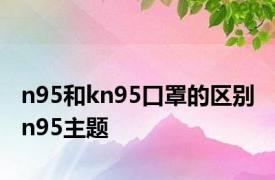 n95和kn95口罩的区别 n95主题 
