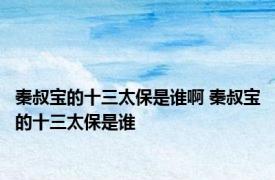 秦叔宝的十三太保是谁啊 秦叔宝的十三太保是谁