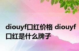 diouyf口红价格 diouyf口红是什么牌子