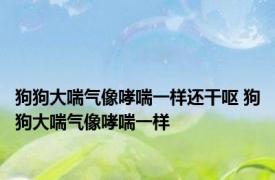 狗狗大喘气像哮喘一样还干呕 狗狗大喘气像哮喘一样 