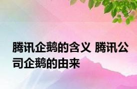 腾讯企鹅的含义 腾讯公司企鹅的由来