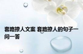套路撩人文案 套路撩人的句子一问一答