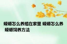 蝾螈怎么养殖在家里 蝾螈怎么养 蝾螈饲养方法