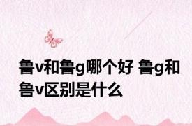 鲁v和鲁g哪个好 鲁g和鲁v区别是什么