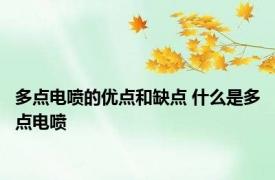 多点电喷的优点和缺点 什么是多点电喷