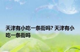 天津有小吃一条街吗? 天津有小吃一条街吗