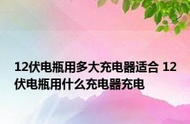 12伏电瓶用多大充电器适合 12伏电瓶用什么充电器充电