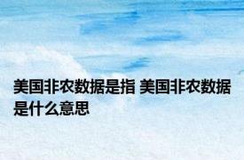 美国非农数据是指 美国非农数据是什么意思