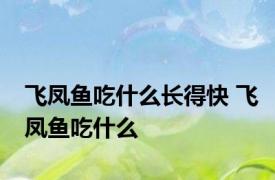 飞凤鱼吃什么长得快 飞凤鱼吃什么