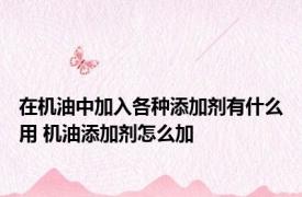 在机油中加入各种添加剂有什么用 机油添加剂怎么加