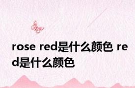 rose red是什么颜色 red是什么颜色