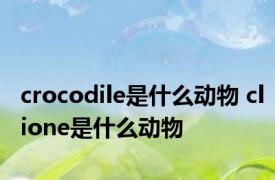 crocodile是什么动物 clione是什么动物