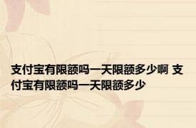 支付宝有限额吗一天限额多少啊 支付宝有限额吗一天限额多少