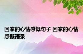 回家的心情感慨句子 回家的心情感慨语录