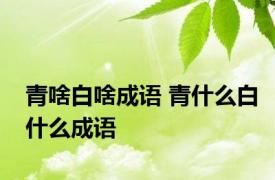 青啥白啥成语 青什么白什么成语