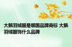 大鹅羽绒服是哪国品牌商标 大鹅羽绒服饰什么品牌