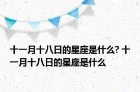 十一月十八日的星座是什么? 十一月十八日的星座是什么