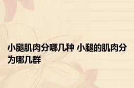 小腿肌肉分哪几种 小腿的肌肉分为哪几群