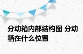 分动箱内部结构图 分动箱在什么位置