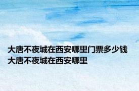 大唐不夜城在西安哪里门票多少钱 大唐不夜城在西安哪里
