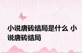 小说唐砖结局是什么 小说唐砖结局