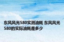 东风风光580实测油耗 东风风光580的实际油耗是多少