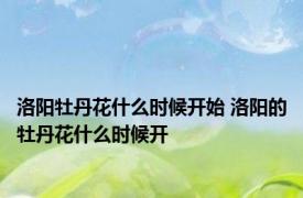 洛阳牡丹花什么时候开始 洛阳的牡丹花什么时候开 