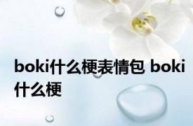 boki什么梗表情包 boki什么梗
