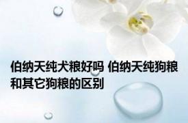 伯纳天纯犬粮好吗 伯纳天纯狗粮和其它狗粮的区别