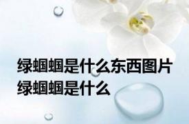 绿蝈蝈是什么东西图片 绿蝈蝈是什么
