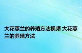 大花蕙兰的养殖方法视频 大花蕙兰的养殖方法