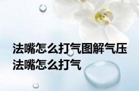 法嘴怎么打气图解气压 法嘴怎么打气