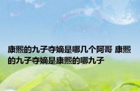 康熙的九子夺嫡是哪几个阿哥 康熙的九子夺嫡是康熙的哪九子