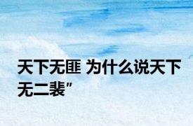 天下无匪 为什么说天下无二裴″