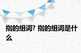指的组词? 指的组词是什么