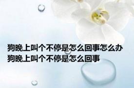狗晚上叫个不停是怎么回事怎么办 狗晚上叫个不停是怎么回事