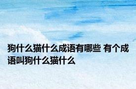 狗什么猫什么成语有哪些 有个成语叫狗什么猫什么